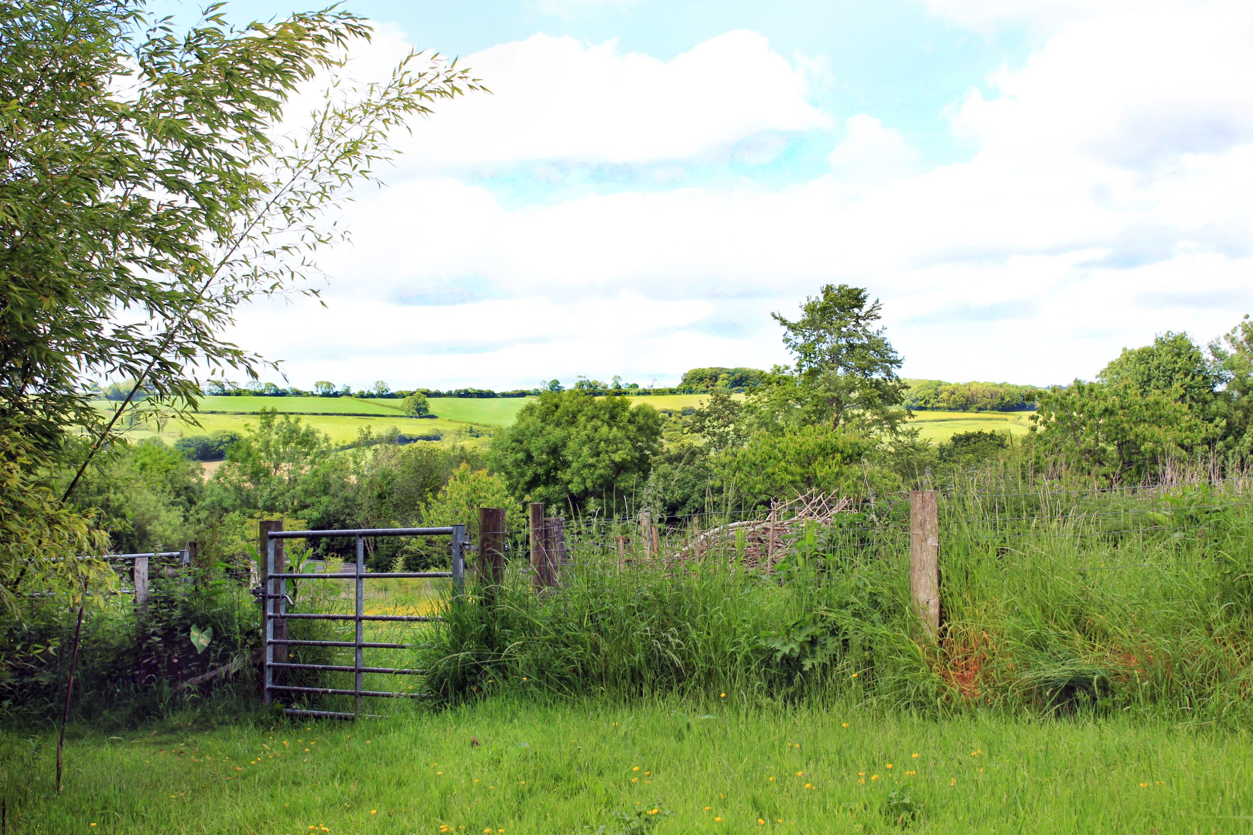 A farm gate and the view to the north