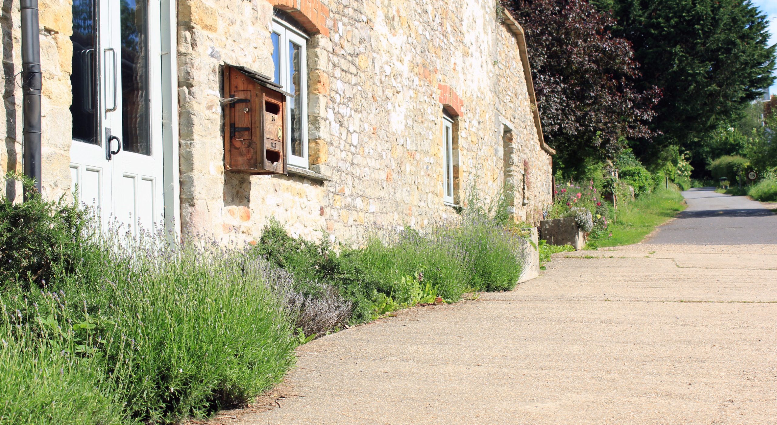 Lavender outside the main building