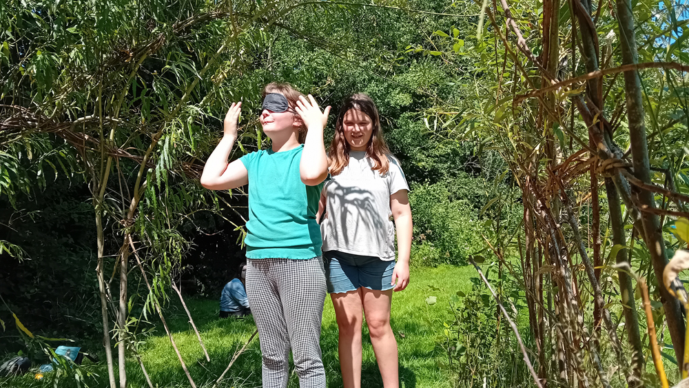 Activities in the woods