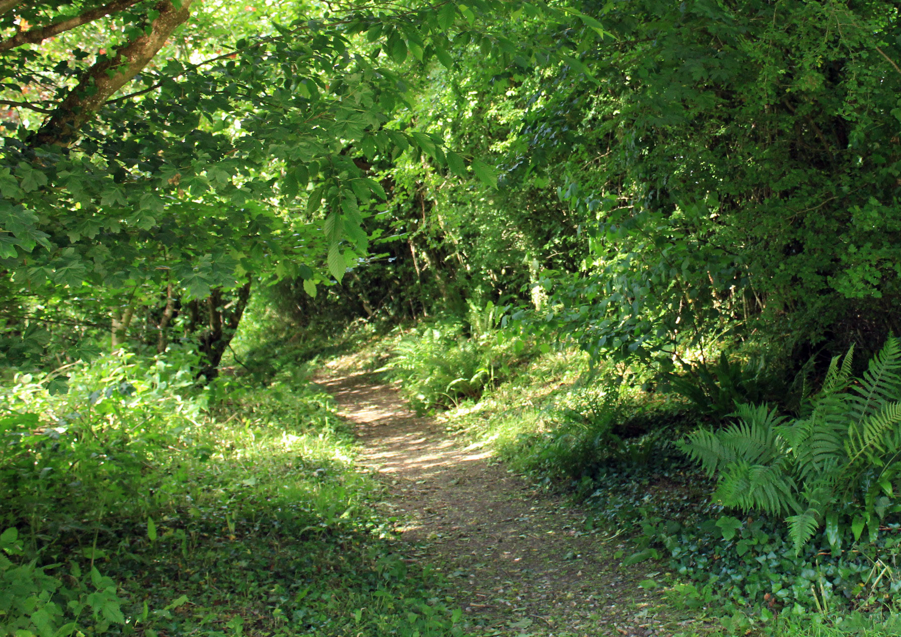 The shady path down to the farm